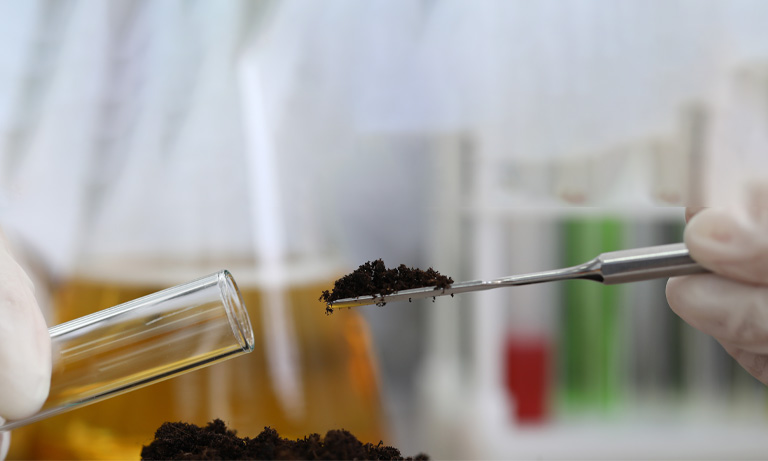 Soil analysis
